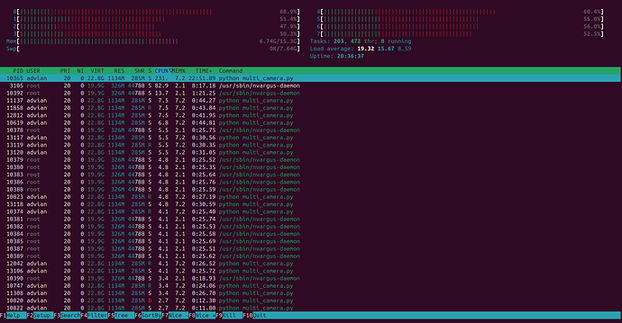 htop_after_cam_open